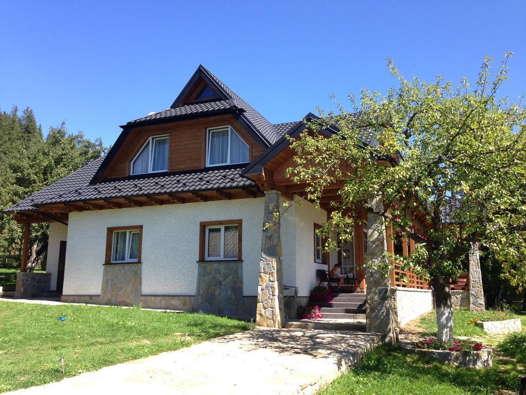 Cottage Familiya Verkhovyna Εξωτερικό φωτογραφία